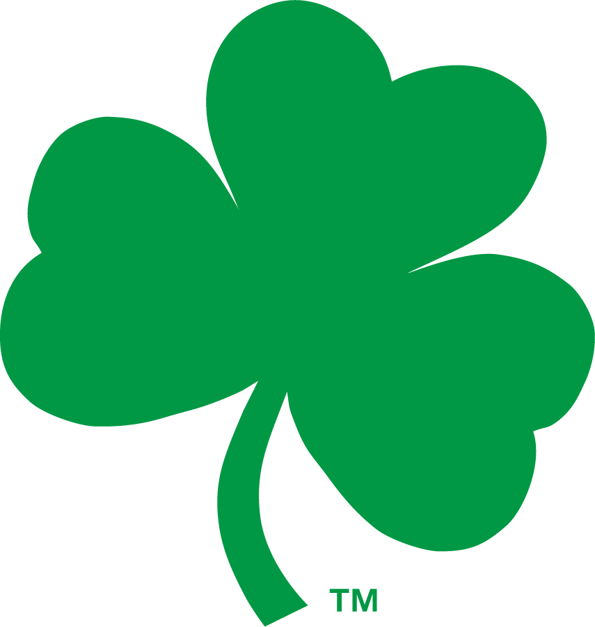 Notre Dame Fighting Irish 2006-2015 Secondary Logo v2 iron on transfers for T-shirts